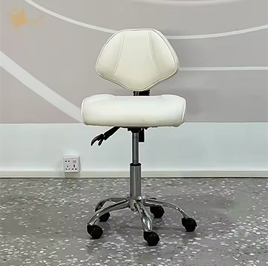 Universal Hydraulic Adjustable Chair for Medical Beauty and Hair Professionals