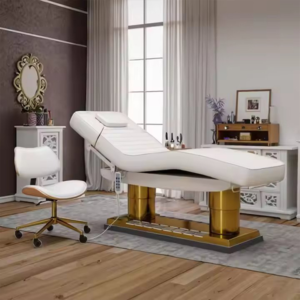 Contemporary Leather Massage Table Massage Tables and Beds Electric Adjustable Bed Ayurveda Massage Bed