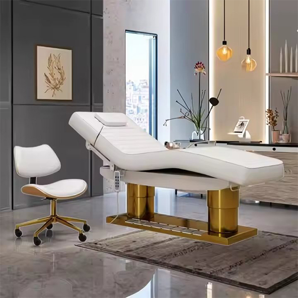 Contemporary Leather Massage Table Massage Tables and Beds Electric Adjustable Bed Ayurveda Massage Bed