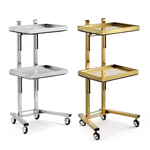 Foshan Factory New Style Wholesale Modern Gold Hair Salon Stainless Steel Beauty Stool Carts Trolley for Sale