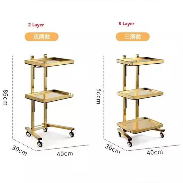 Hot Sale Beauty Gold Salon Cart Folding Portable Stainless Steel Frame Salon Trolley Hairdressing with 4 Wheels
